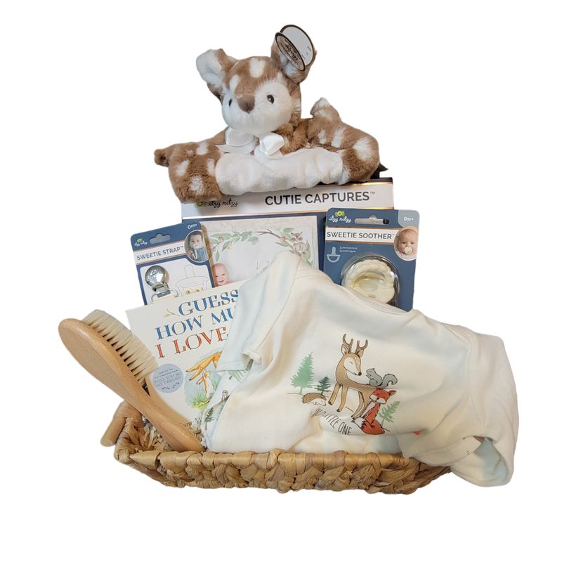 Hello Baby Gift Basket